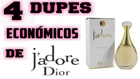 j'adore dior dupe dm|50 Best Dupes for J'adore Parfum d'Eau by Dior .